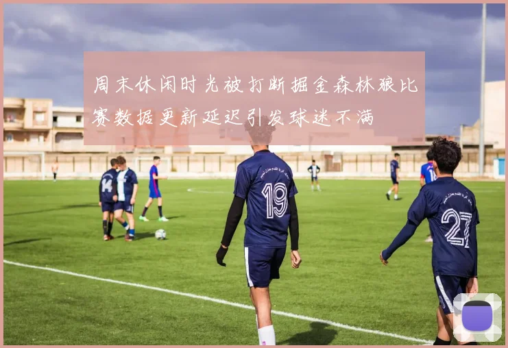周末休闲时光被打断掘金森林狼比赛数据更新延迟引发球迷不满