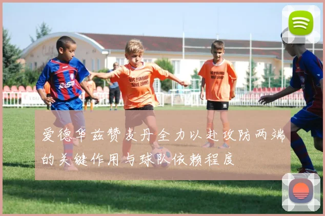 爱德华兹赞麦丹全力以赴攻防两端的关键作用与球队依赖程度