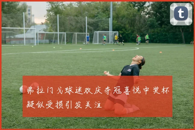 弗拉门戈球迷欢庆夺冠喜悦中奖杯疑似受损引发关注